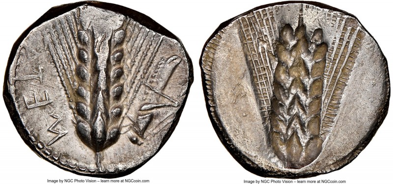 LUCANIA. Metapontum. Ca. 470-440 BC. AR stater (21mm, 7.51 gm, 12h). NGC AU 4/5 ...