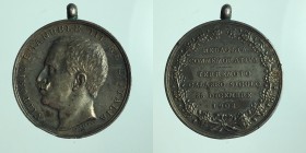 Savoia. Vittorio Emanuele III Medaglia commemorativa terremoto calabro-siculo 28 dicembre 1908 Ag 15,67g