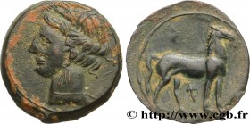 ZEUGITANA - CARTHAGE
Type : Shekel 
Date : c. 215-201 AC. 
Mint name / Town : Sardaigne 
Metal : copper 
Diameter : 23  mm
Orientation dies : 1  h.
We...