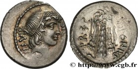 SICINIA
Type : Denier 
Date : 49 AC. 
Mint name / Town : Grèce 
Metal : silver 
Millesimal fineness : 950  ‰
Diameter : 19,5  mm
Orientation dies : 6 ...