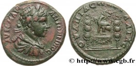 CARACALLA
Type : Hexassaria 
Date : c. 198-209 
Mint name / Town : Pautalia, Thrace 
Metal : copper 
Diameter : 29  mm
Orientation dies : 7  h.
Weight...