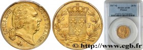 LOUIS XVIII
Type : 20 francs or Louis XVIII, tête nue 
Date : 1817 
Mint name / Town : Perpignan 
Quantity minted : 96.752 
Metal : gold 
Millesimal f...