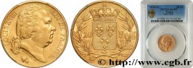 LOUIS XVIII
Type : 20 francs or Louis XVIII, tête nue 
Date : 1820 
Mint name / Town : Paris 
Quantity minted : 1316609 
Metal : gold 
Millesimal fine...