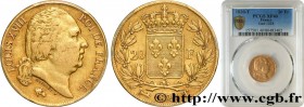 LOUIS XVIII
Type : 20 francs or Louis XVIII, tête nue 
Date : 1820 
Mint name / Town : Nantes 
Quantity minted : 5725 
Metal : gold 
Millesimal finene...