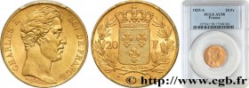 CHARLES X
Type : 20 francs or Charles X 
Date : 1825 
Mint name / Town : Paris 
Quantity minted : 663764 
Metal : gold 
Millesimal fineness : 900  ‰
D...