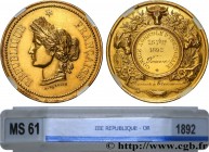 III REPUBLIC
Type : Médaille de concours, Comice agricole 
Date : 1892 
Mint name / Town : 42 - YSSINGEAUX 
Metal : gold 
Diameter : 33,5  mm
Weight :...