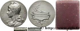 III REPUBLIC
Type : Médaille de récompense 
Date : n.d. 
Mint name / Town : 60 - Clermont 
Metal : silver plated bronze 
Diameter : 26,5  mm
Weight : ...