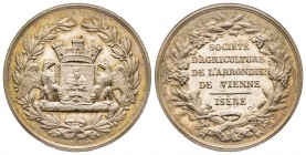 Jeton société d'agriculture de l'arrondissement de Vienne ( Isère ) 1856, AG 9.97 g.
Superbe