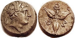 R METAPONTUM, Æ13, c. 225-200 BC, Hermes head r/3 barley grains, caduceus, AEF, ...