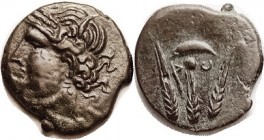 R SARDINIA, under Carthage, Æ23, after 238 BC, Persephone or Tanit head l/3 corn ears, crescent & pellet above, Punic letters, S1267; VF+, actually be...