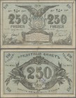 Russia: Central Asia - Semireche Region 250 Rubles 1919, P.S1132a (R. 20617), small border tears and tiny hole at center, Condition: F.
 [plus 19 % V...