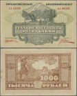 Russia: Far Eastern Republic 1000 Rubles 1920, P.S1208, vertical and horizontal folds and some minor spots. Condition: F+
 [plus 19 % VAT]