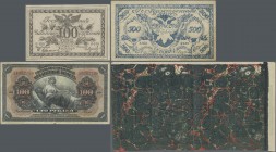 Russia: Album with 119 banknotes and uncut sheets of coupons SIBERIA comprising for example BARNAUL CITY GOVERNMENT 500 Rubles 1919 P.NL (R 4988) (VF+...