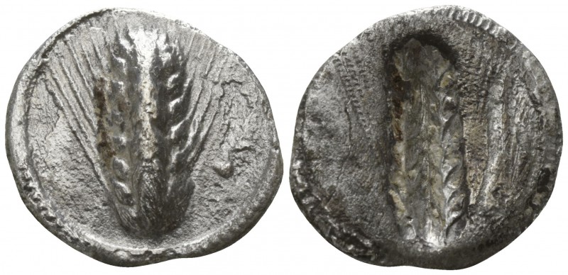 Lucania. Metapontion 540-510 BC.
1/3 Nomos AR

17mm., 1,72g.

Barley ear wi...