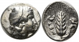 Lucania. Metapontion circa 330-290 BC. Nomos AR