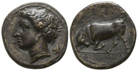 Sicily. Syracuse. Agathokles 317-289 BC. Bronze Æ