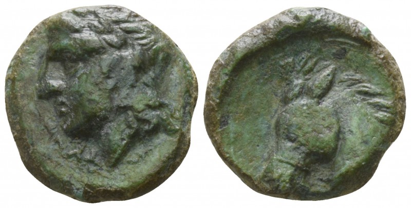 Sicily. Tyndaris circa 279-253 BC.
Bronze Æ

13mm., 2,34g.

TY[NΔΑΡΙΤΑΝ]; l...