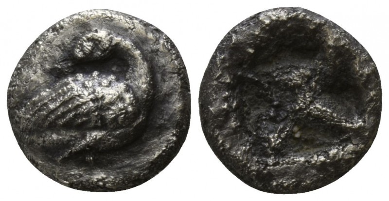 Macedon. Eion circa 480-470 BC.
Diobol AR

8mm., 0,97g.

Goose standing rig...