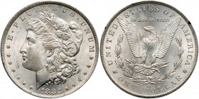 1882-CC Morgan Dollar. ANACS MS64