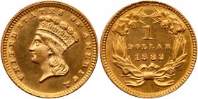 1882 $1 Gold Indian