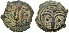 Judaea, Procuratorial. Marcus Ambibulus. Æ Prutah (1.90 g), 9-12 CE. EF