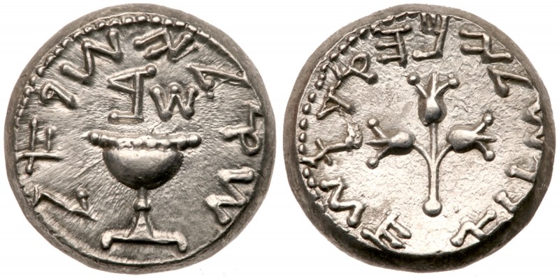 Jewish War. Silver Shekel (14.32 g) Year Two, April 67 - March 68 CE. Shekel of ...