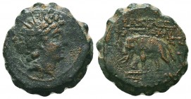SELEUKID KINGDOM. 2nd - 1st Century . Ae.
Condition: Very Fine


Weight: 7,0 gram
Diameter: 21,3 mm