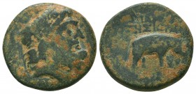 SELEUKID KINGDOM. 2nd - 1st Century . Ae.
Condition: Very Fine


Weight: 7,9 gram
Diameter: 22,7 mm