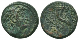 SELEUKID KINGDOM. 2nd - 1st Century . Ae.
Condition: Very Fine


Weight: 7,4 gram
Diameter: 19,2 mm
