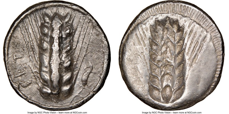 LUCANIA. Metapontum. Ca. 470-440 BC. AR stater (22mm, 7.55 gm, 1h). NGC Choice V...