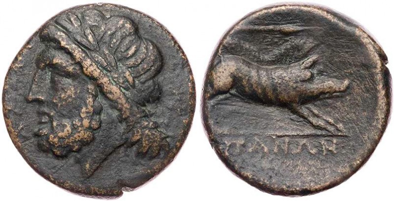 APULIEN ARPI
 AEs 325-275 v. Chr. Vs.: Kopf des Zeus mit Lorbeerkranz n. l., Rs...