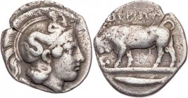 LUKANIEN THOURIOI
 AR-Didrachme/Nomos 410-400 v. Chr. Vs.: Kopf der Athena mit Skyllahelm n. r., Rs.: Stier trottet auf Grundlinie n. l., links Taube...