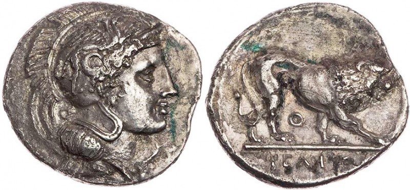 LUKANIEN VELIA / HYELE
 AR-Didrachme/Nomos 340-334 v. Chr. Vs.: Kopf der Athena...