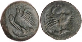 SIZILIEN AKRAGAS
 AE-Hemilitron 415-406 v. Chr. Vs.: Adler steht mit ausgebreiteten Flügeln auf Thunfisch n. l., Rs.: Krabbe, umher sechs Wertkugeln,...
