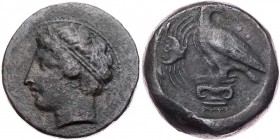 SIZILIEN AKRAGAS
 AE-Hemilitron 339-317 v. Chr. Vs.: Kopf des jugendlichen Flussgottes Akragas mit Diadem n. l., Rs.: Adler steht auf ionischem Kapit...