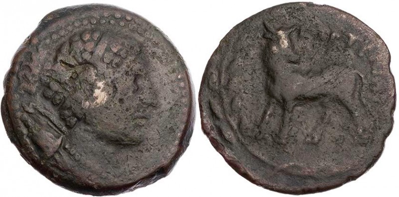 KRETA GORTYNA
 AEs 250-230 v. Chr. Vs.: Kopf der Artemis mit Gorytos n. r., Rs....