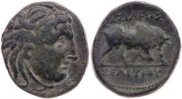 SYRIEN KÖNIGREICH DER SELEUKIDEN
Seleukos I. Nikator, 312-281 v. Chr. AE-Tetrachalkon Seleukeia Vs.: Kopf der Medusa n. r., Rs.: Stier stößt n. r., o...