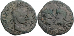 SPANIEN TARRACO
Tiberius mit Livia und Drusus, 14-37 n. Chr. AE-As 22/23 n. Chr. Vs.: [TI C]AES AVG PONT MAX TRIB POT, Kopf des Tiberius mit Lorbeerk...