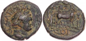 PISIDIEN ANTIOCHIA
Titus Caesar, 69-79 n. Chr. AE-Semis Vs.: T CAES IMP [PONT], Kopf mit Lorbeerkranz n. r., Rs.: ANT / COL, Deductor mit Ochsengespa...