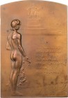 PERSONEN DICHTER UND SCHRIFTSTELLER
Goethe, Johann Wolfgang v., 1749-1832. Einseitige Bronzeplakette 1900 v. Rudolf Marschall Auf die Enthüllung des ...