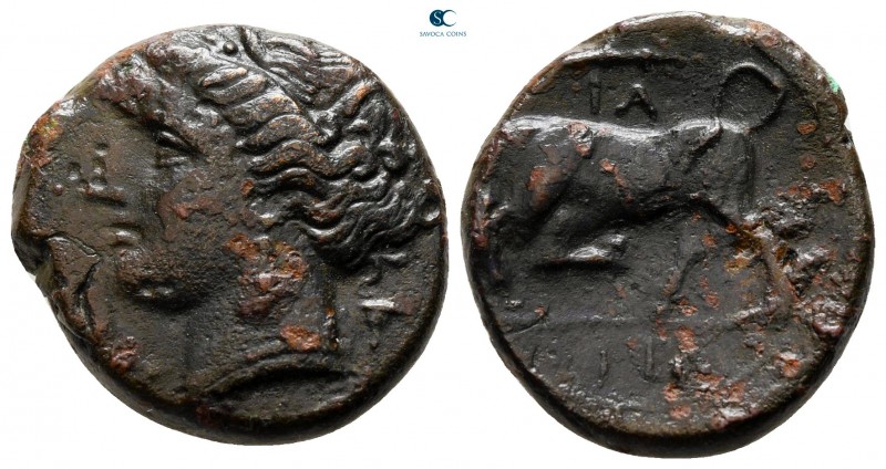 Sicily. Syracuse. Hieron II 275-215 BC. 
Bronze Æ

20 mm., 5,55 g.



ver...