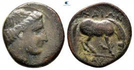 Thessaly. Larissa circa 344-321 BC. Dichalkon Æ