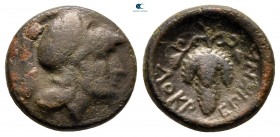 Lokris. Locri Opuntii circa 338-316 BC. Chalkous Æ