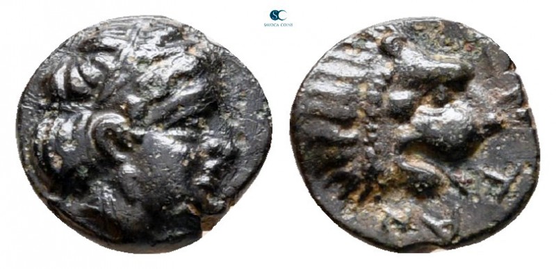 Troas. Antandros circa 400-300 BC. 
Bronze Æ

8 mm., 0,58 g.



very fine...