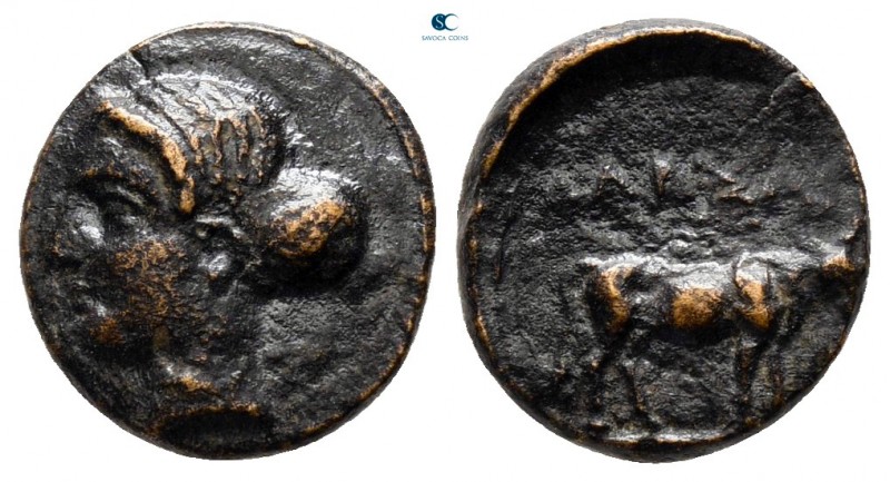 Aiolis. Larisa Phrikonis circa 400-300 BC. 
Bronze Æ

11 mm., 1,12 g.



...