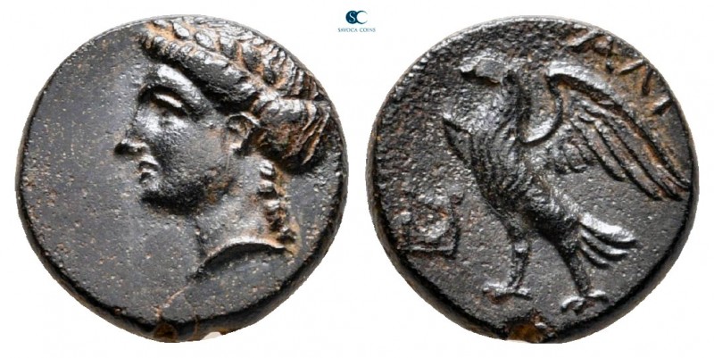 Caria. Halikarnassos circa 350-300 BC. 
Bronze Æ

12 mm., 1,43 g.



very...