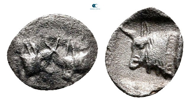 Caria. Uncertain mint circa 500-450 BC. 
Tetartemorion AR

7 mm., 0,13 g.

...