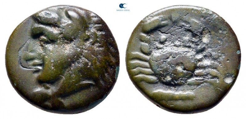 Islands off Caria. Kos circa 260-230 BC. 
Bronze Æ

12 mm., 1,52 g.



ve...