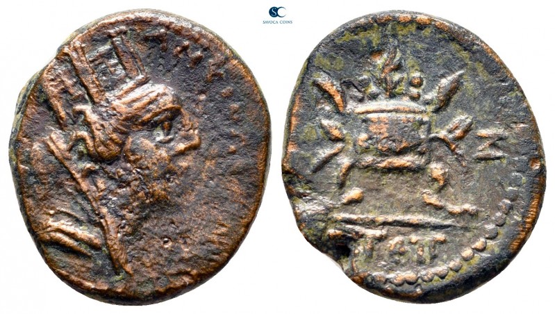 Seleucis and Pieria. Antioch. Pseudo-autonomous issue AD 69-79. 
Bronze Æ

18...