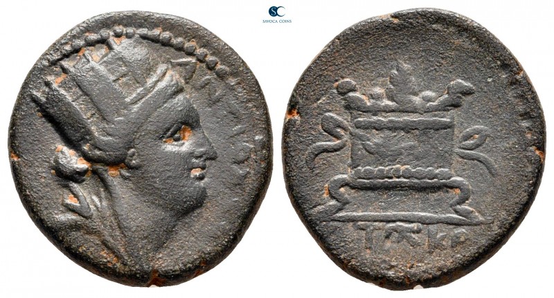 Seleucis and Pieria. Antioch. Pseudo-autonomous issue AD 69-79. 
Bronze Æ

19...